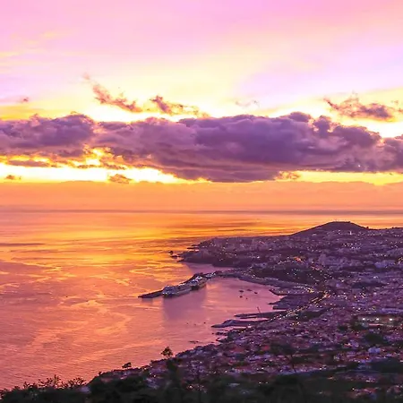 Luxury One Bedroom Palheiro Village By Madeira Lägenhet